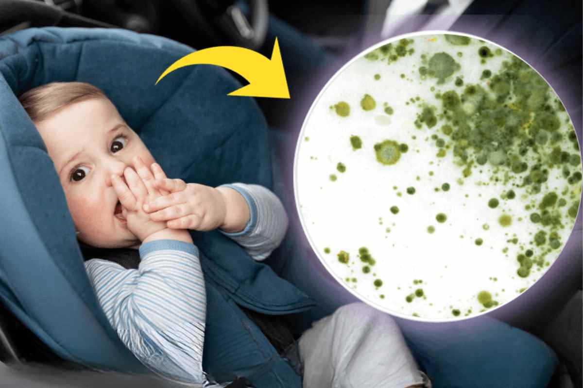 Como limpar o bebê conforto e a cadeirinha para carro