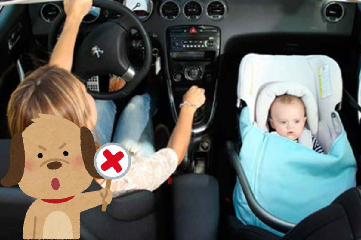 Como transportar as crianças em veículos sem banco traseiro?